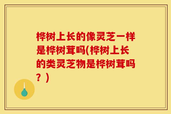 桦树上长的像灵芝一样是桦树茸吗(桦树上长的类灵芝物是桦树茸吗？)