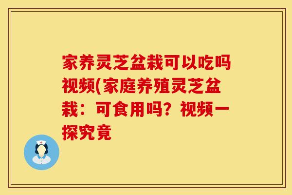 家养灵芝盆栽可以吃吗视频(家庭养殖灵芝盆栽：可食用吗？视频一探究竟