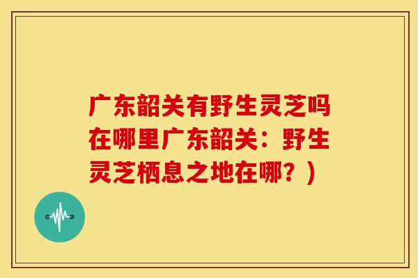 广东韶关有野生灵芝吗在哪里广东韶关：野生灵芝栖息之地在哪？)