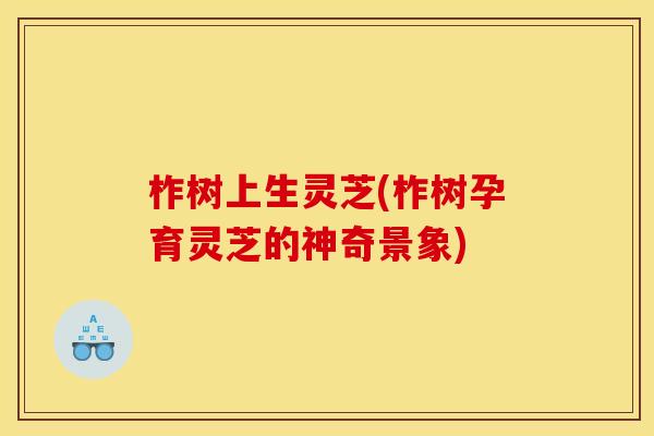 柞树上生灵芝(柞树孕育灵芝的神奇景象)