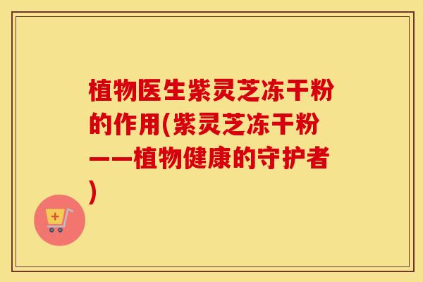 植物医生紫灵芝冻干粉的作用(紫灵芝冻干粉——植物健康的守护者)