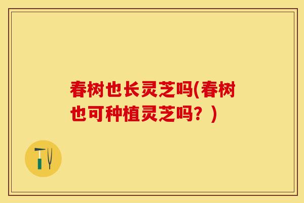 春树也长灵芝吗(春树也可种植灵芝吗？)