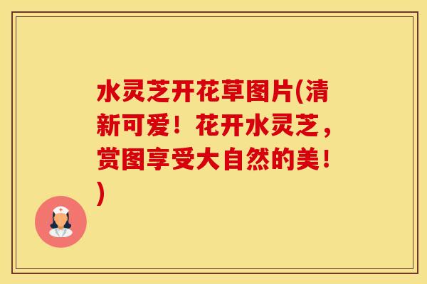 水灵芝开花草图片(清新可爱！花开水灵芝，赏图享受大自然的美！)