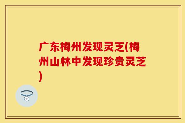广东梅州发现灵芝(梅州山林中发现珍贵灵芝)