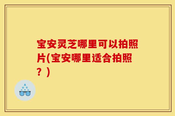 宝安灵芝哪里可以拍照片(宝安哪里适合拍照？)