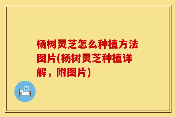 杨树灵芝怎么种植方法图片(杨树灵芝种植详解，附图片)