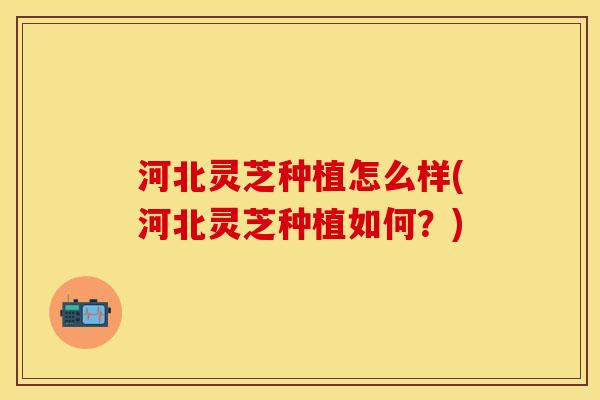 河北灵芝种植怎么样(河北灵芝种植如何？)