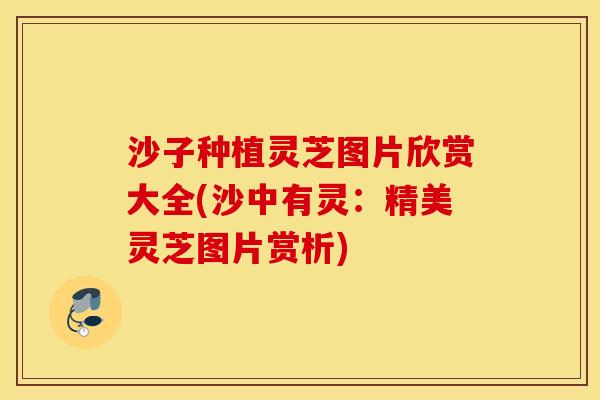 沙子种植灵芝图片欣赏大全(沙中有灵：精美灵芝图片赏析)