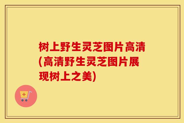 树上野生灵芝图片高清(高清野生灵芝图片展现树上之美)