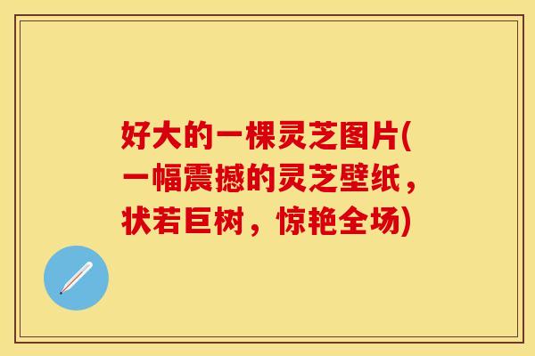 好大的一棵灵芝图片(一幅震撼的灵芝壁纸，状若巨树，惊艳全场)