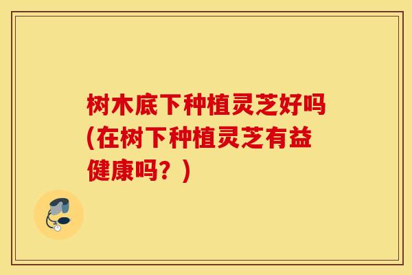 树木底下种植灵芝好吗(在树下种植灵芝有益健康吗？)
