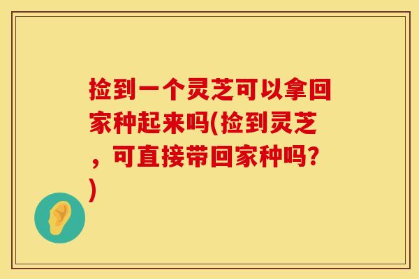 捡到一个灵芝可以拿回家种起来吗(捡到灵芝，可直接带回家种吗？)