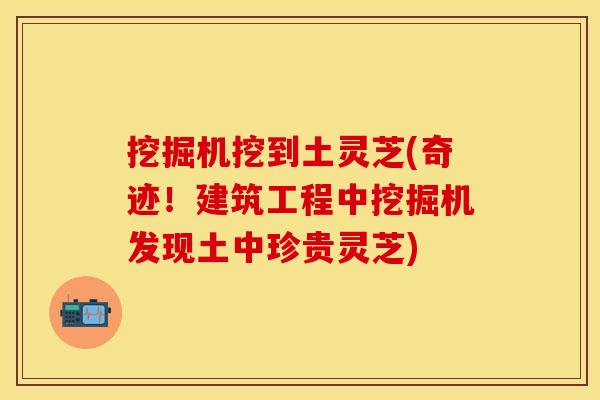 挖掘机挖到土灵芝(奇迹！建筑工程中挖掘机发现土中珍贵灵芝)
