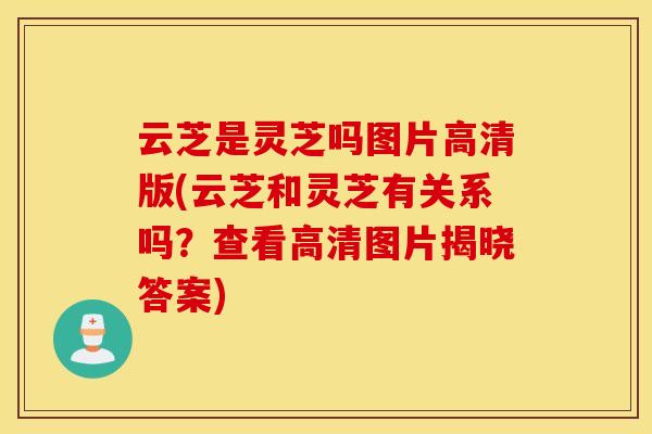 云芝是灵芝吗图片高清版(云芝和灵芝有关系吗？查看高清图片揭晓答案)
