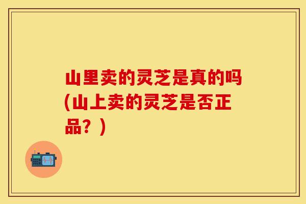 山里卖的灵芝是真的吗(山上卖的灵芝是否正品？)