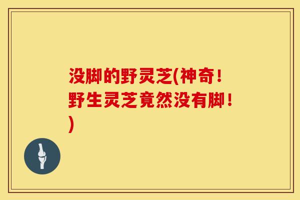没脚的野灵芝(神奇！野生灵芝竟然没有脚！)