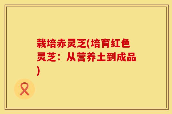 栽培赤灵芝(培育红色灵芝：从营养土到成品)