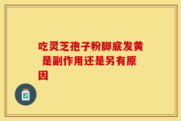 吃灵芝孢子粉脚底发黄 是副作用还是另有原因