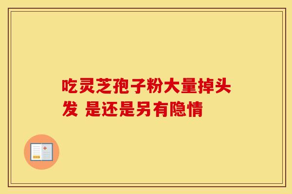 吃灵芝孢子粉大量掉头发 是还是另有隐情