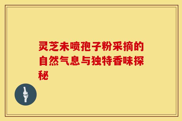 灵芝未喷孢子粉采摘的自然气息与独特香味探秘