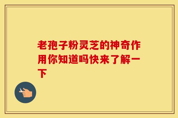 老孢子粉灵芝的神奇作用你知道吗快来了解一下
