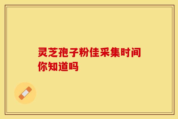 灵芝孢子粉佳采集时间你知道吗