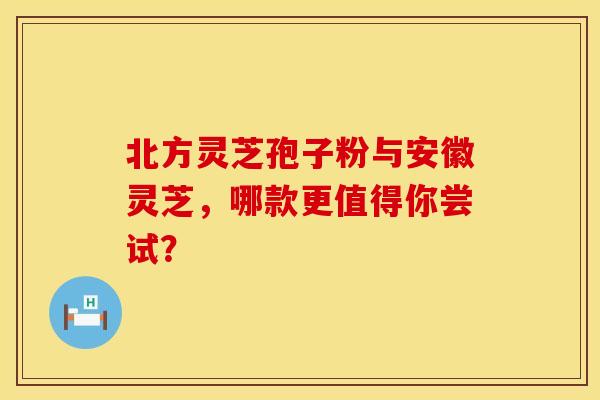 北方灵芝孢子粉与安徽灵芝，哪款更值得你尝试？