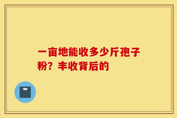 一亩地能收多少斤孢子粉？丰收背后的