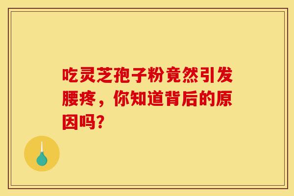 吃灵芝孢子粉竟然引发腰疼，你知道背后的原因吗？