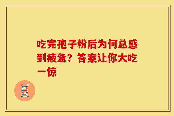 吃完孢子粉后为何总感到疲惫？答案让你大吃一惊