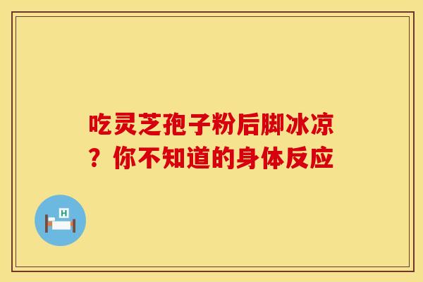 吃灵芝孢子粉后脚冰凉？你不知道的身体反应