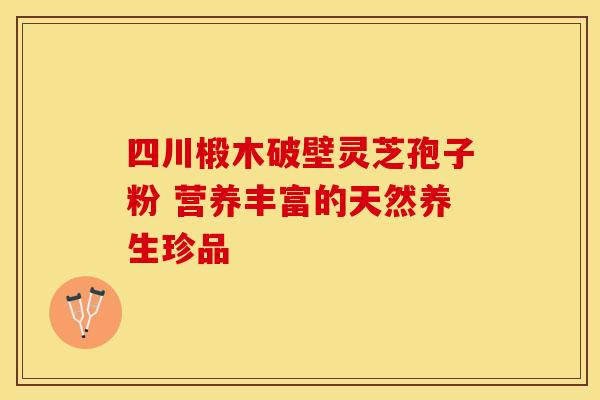 四川椴木破壁灵芝孢子粉 营养丰富的天然养生珍品