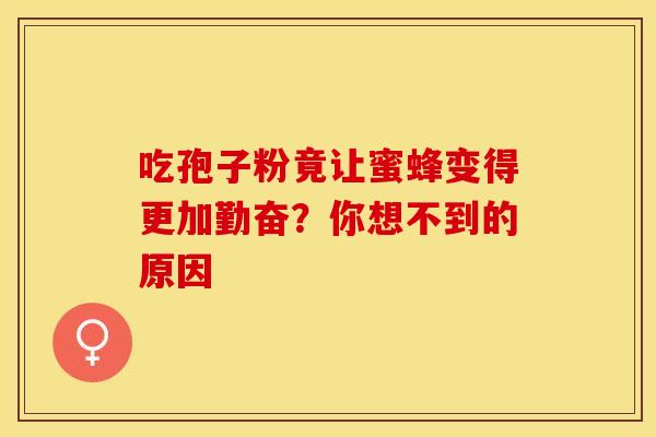 吃孢子粉竟让蜜蜂变得更加勤奋？你想不到的原因