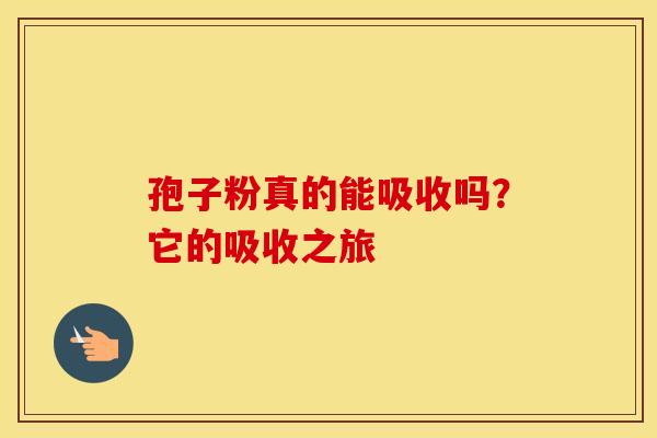 孢子粉真的能吸收吗？它的吸收之旅