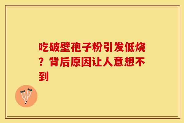 吃破壁孢子粉引发低烧？背后原因让人意想不到