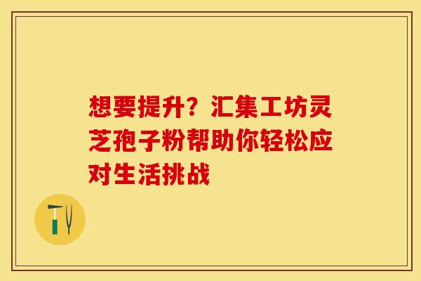 想要提升？汇集工坊灵芝孢子粉帮助你轻松应对生活挑战