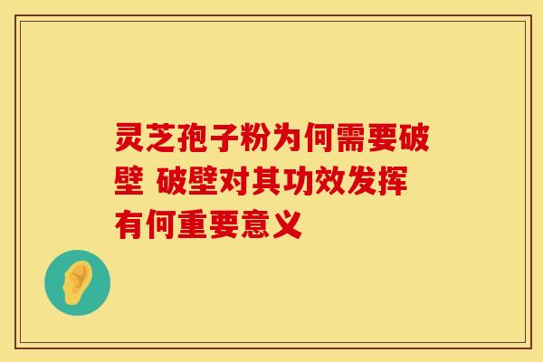 灵芝孢子粉为何需要破壁 破壁对其功效发挥有何重要意义