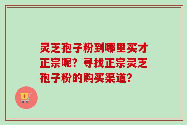 灵芝孢子粉到哪里买才正宗呢？寻找正宗灵芝孢子粉的购买渠道？