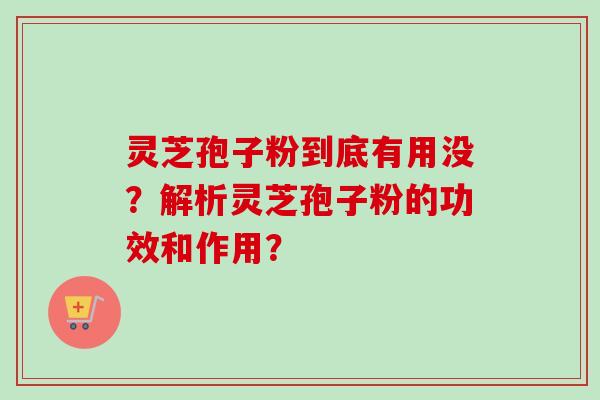 灵芝孢子粉到底有用没？解析灵芝孢子粉的功效和作用？