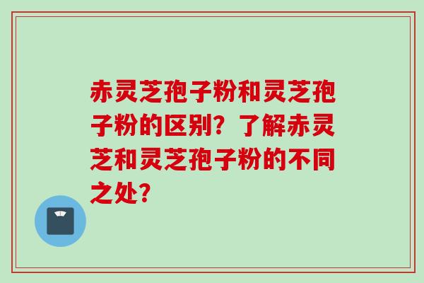 赤灵芝孢子粉和灵芝孢子粉的区别?了解赤灵芝和灵芝孢子粉的不同之处? 赤灵芝孢子粉和灵芝孢子粉的区别?了解赤灵芝和灵芝孢子粉的不同之处?