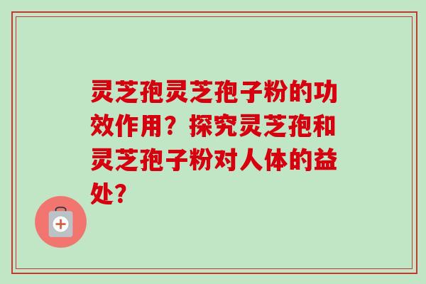 灵芝孢灵芝孢子粉的功效作用？探究灵芝孢和灵芝孢子粉对人体的益处？