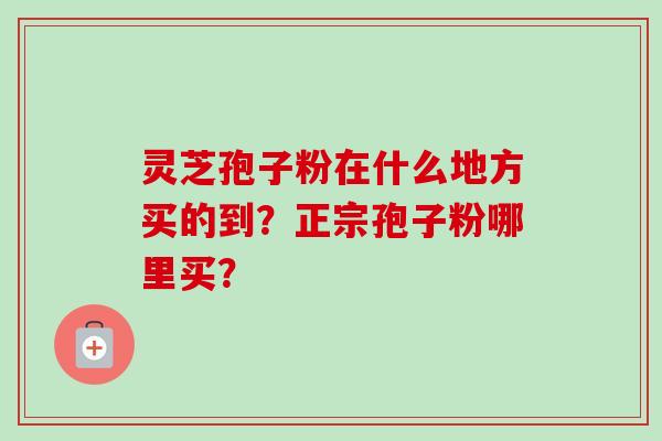 灵芝孢子粉在什么地方买的到？正宗孢子粉哪里买？