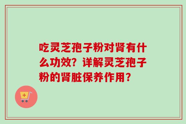 吃灵芝孢子粉对肾有什么功效？详解灵芝孢子粉的肾脏保养作用？