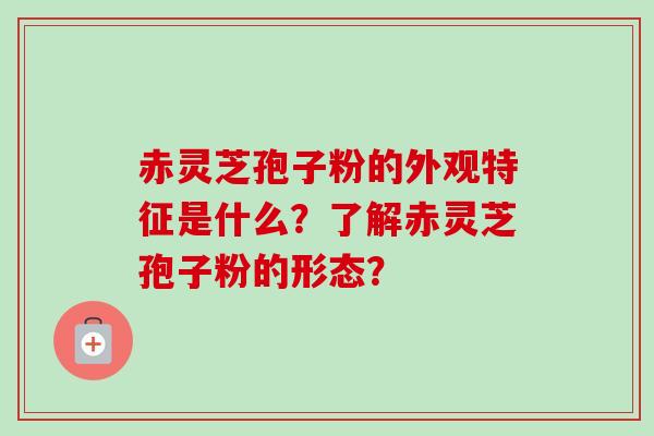 赤灵芝孢子粉的外观特征是什么？了解赤灵芝孢子粉的形态？
