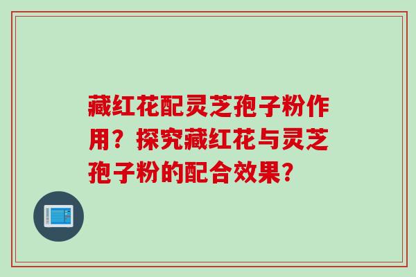 藏红花配灵芝孢子粉作用？探究藏红花与灵芝孢子粉的配合效果？