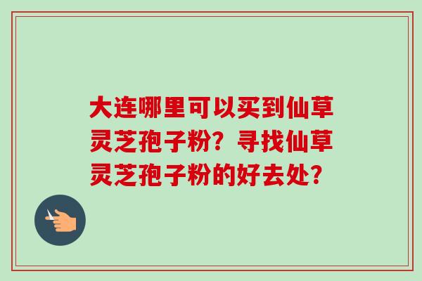 大连哪里可以买到仙草灵芝孢子粉?寻找仙草灵芝孢子粉的好去处?