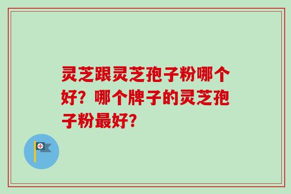 灵芝跟灵芝孢子粉哪个好?哪个牌子的灵芝孢子粉最好?