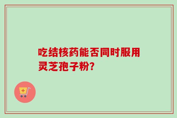吃结核药能否同时服用灵芝孢子粉？