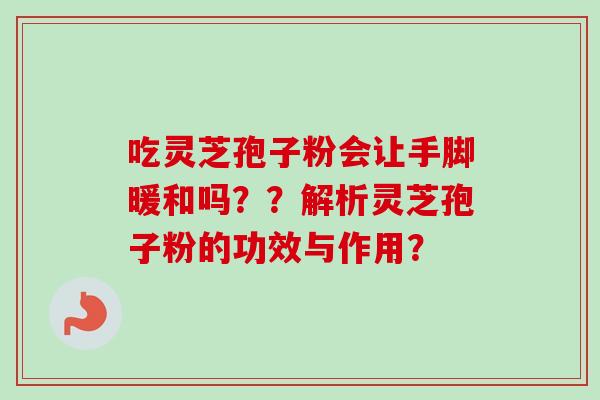 吃灵芝孢子粉会让手脚暖和吗？？解析灵芝孢子粉的功效与作用？