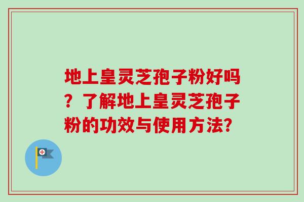地上皇灵芝孢子粉好吗?了解地上皇灵芝孢子粉的功效与使用方法?
